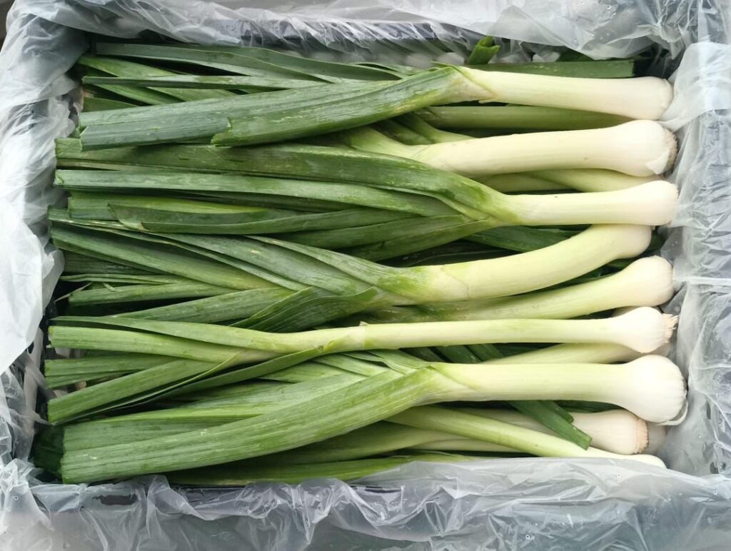 WhatsApp Image 2026 01 12 at 10.30.01 PM | Rotana Export