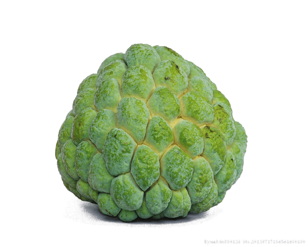 Fruits 2 Abderrazek Custard Apple Annona | Rotana Export