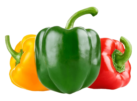 Vegetables 4 Bell Pepper 1 | Rotana Export