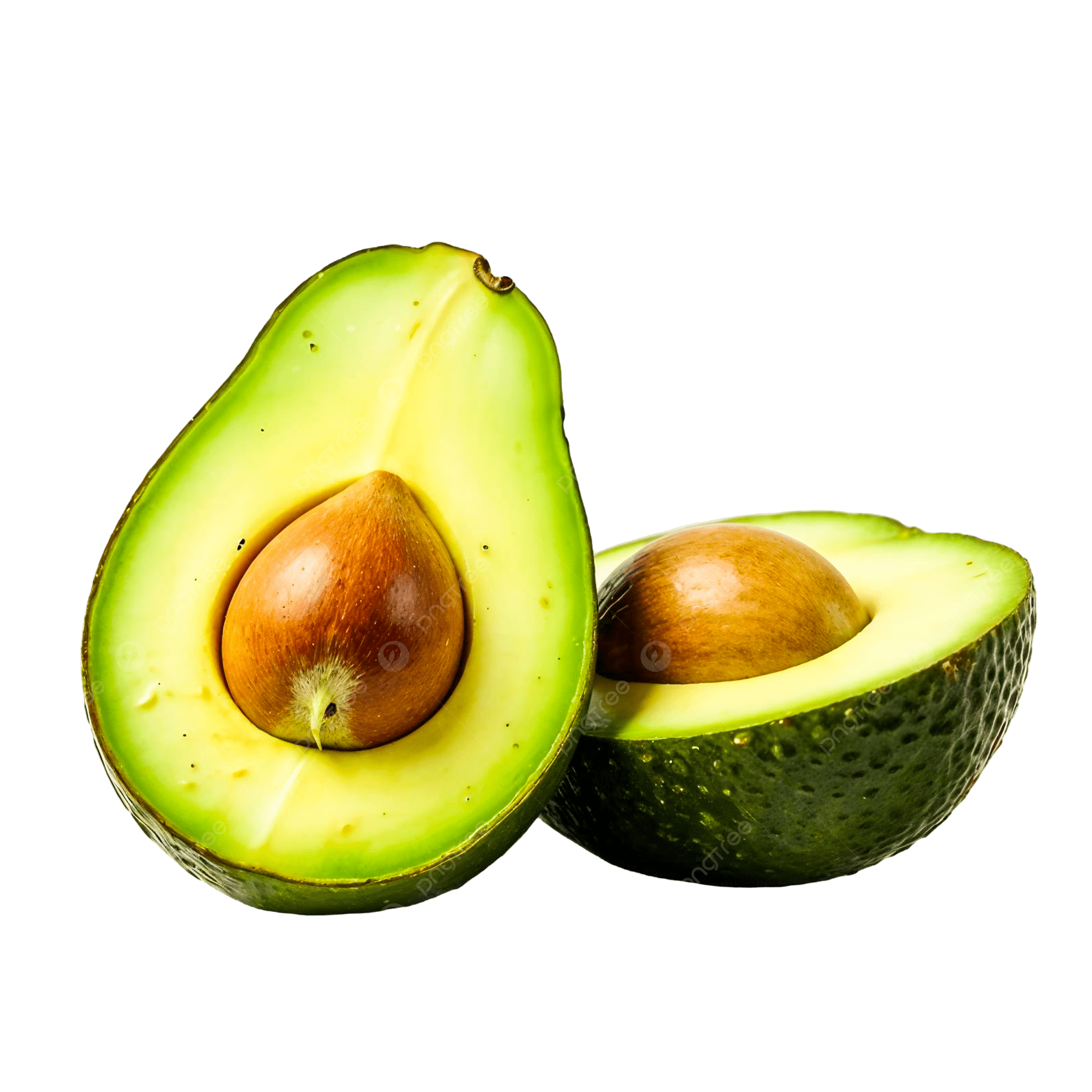 Fruits 4 Hass Avocado | Rotana Export