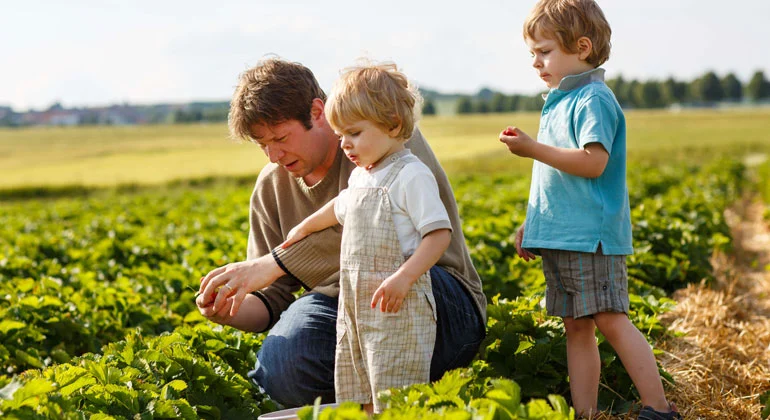 Organic Products 1 organic product | Rotana Export