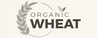 Rotana Export 16 partner 01 1 | Rotana Export