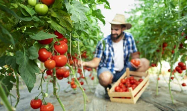 service small image 2 | Rotana Export