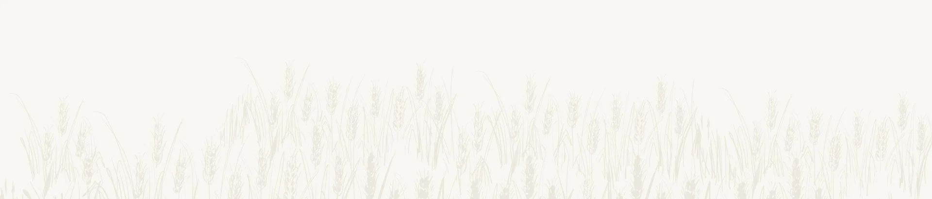 Rotana Export 7 wheats | Rotana Export