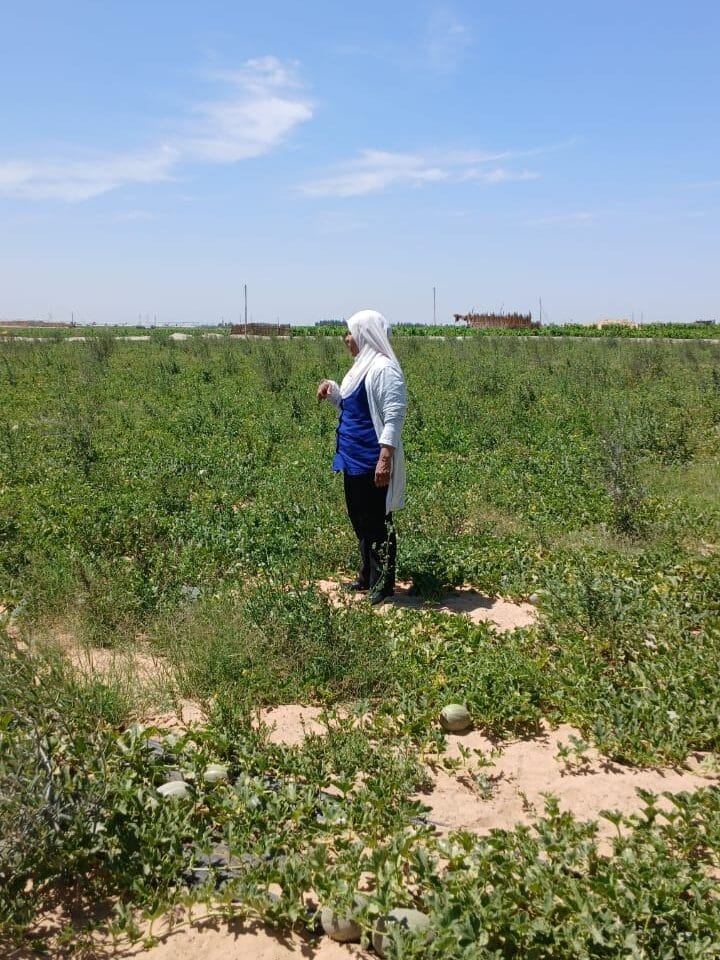 Rotana Export 13 16 e1768248521322 | Rotana Export