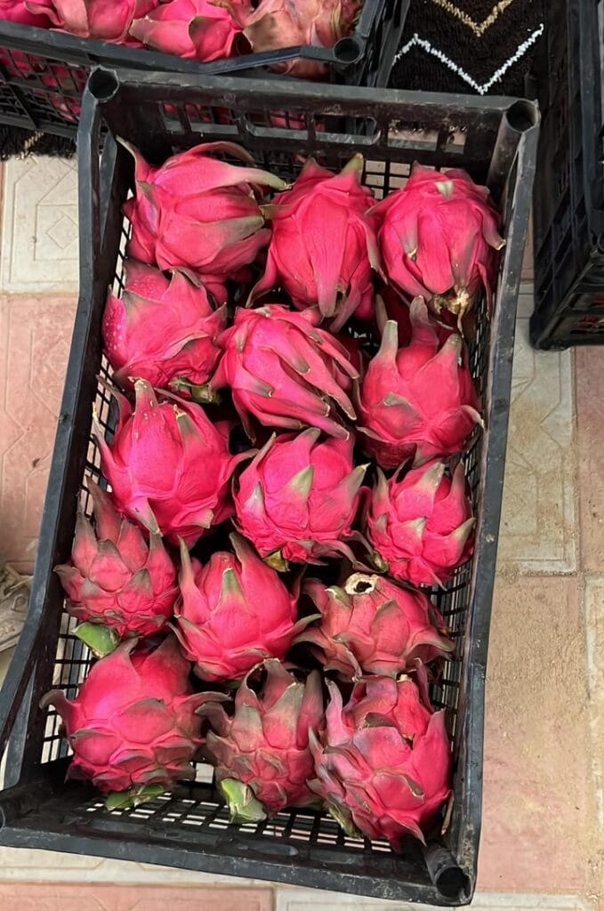 4 e1766487460629 | Rotana Export