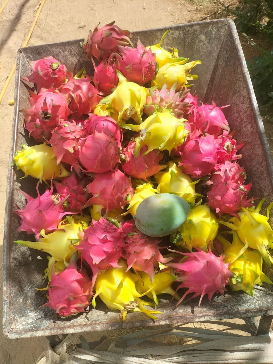 Rotana Export 11 59 | Rotana Export