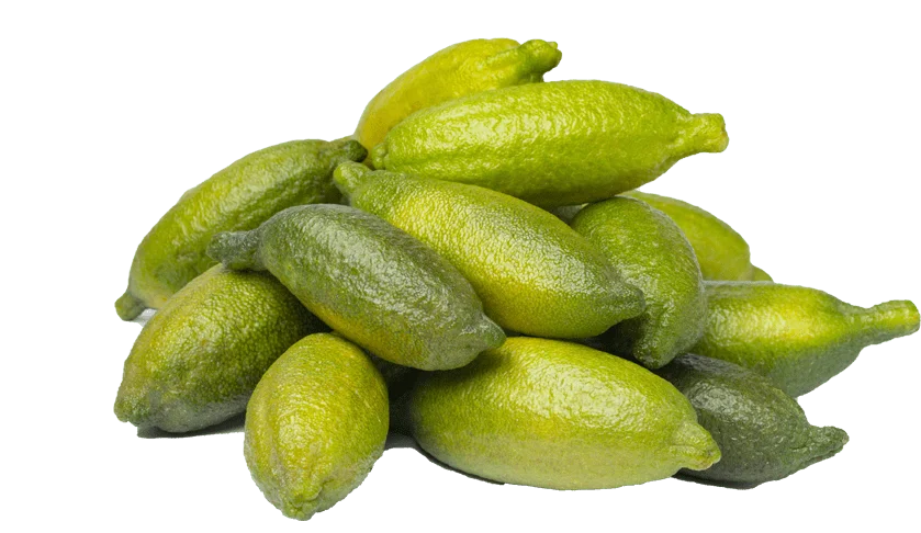 Fruits 3 Finger Lime Caviar Lime | Rotana Export