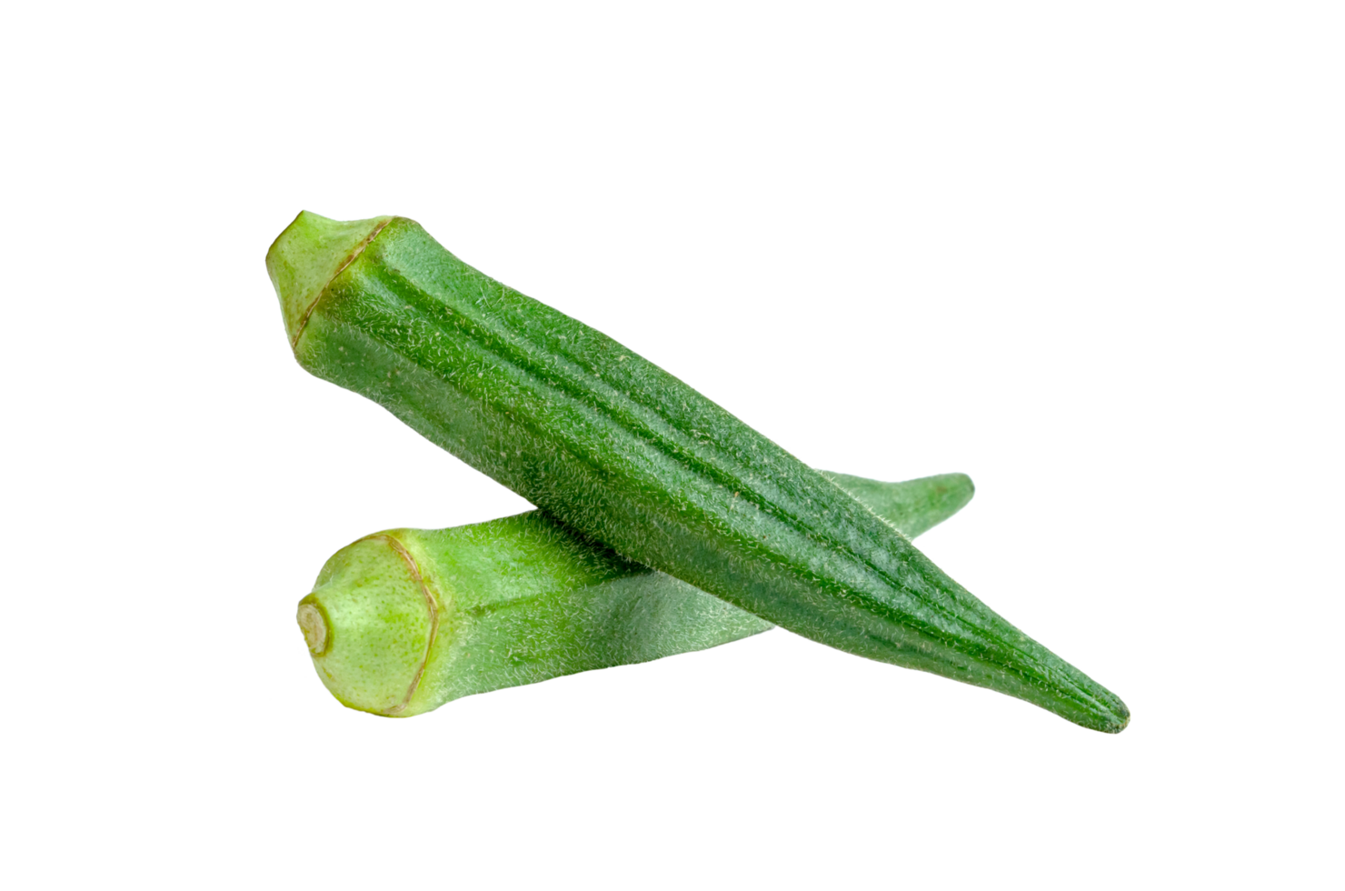Vegetables 2 Okra | Rotana Export