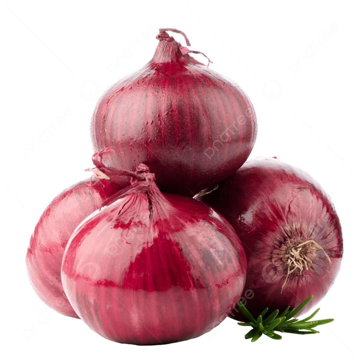 Vegetables 5 Onion | Rotana Export