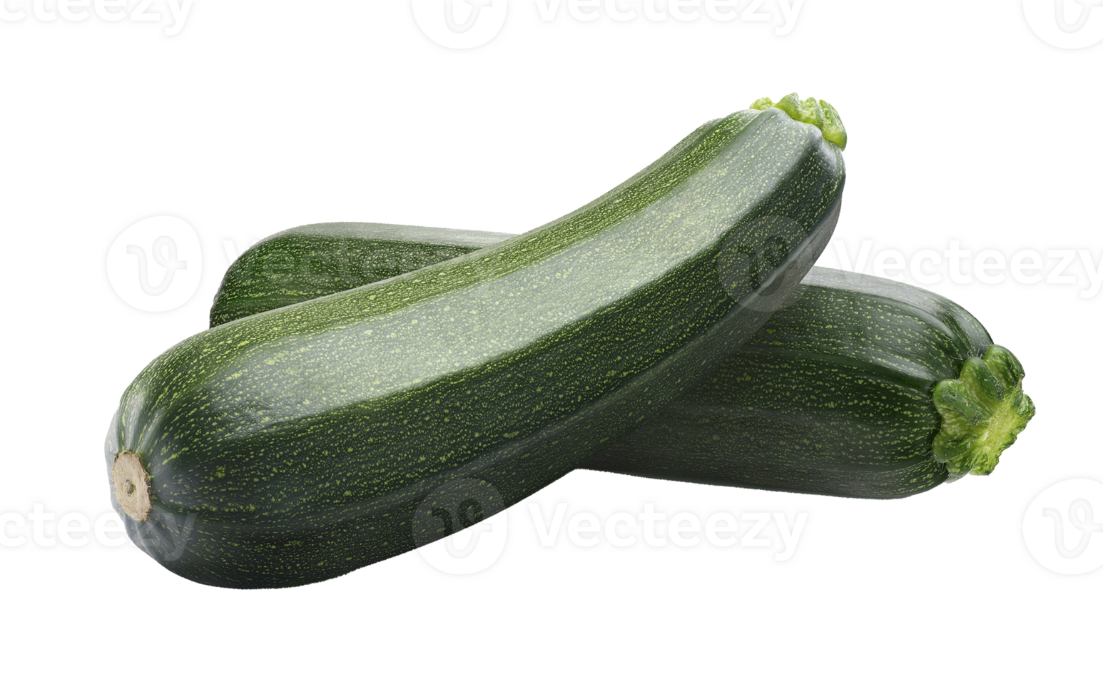Vegetables 1 Zucchini | Rotana Export